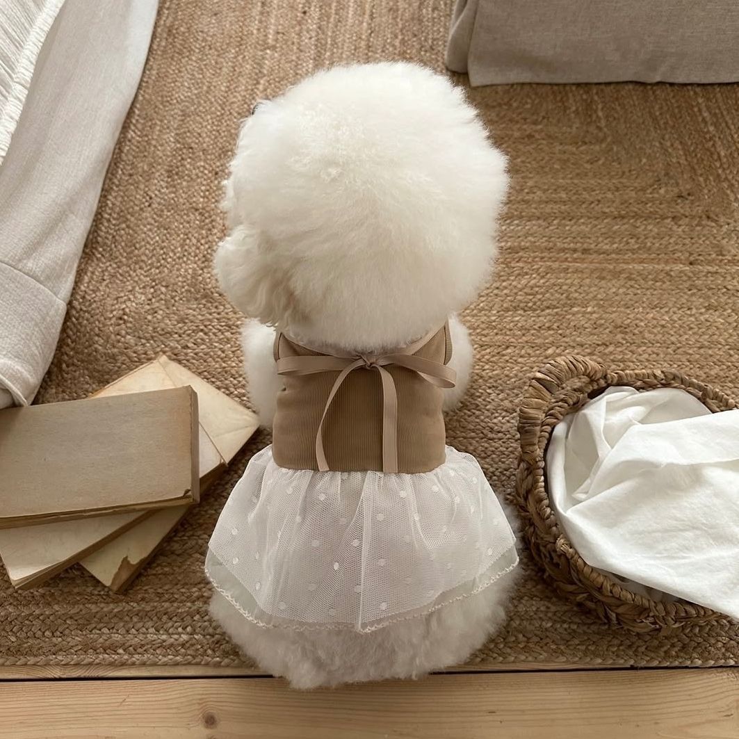 Spring and Summer Pet Lace Cam - Lace Teddy Lingerie reseña y precio
