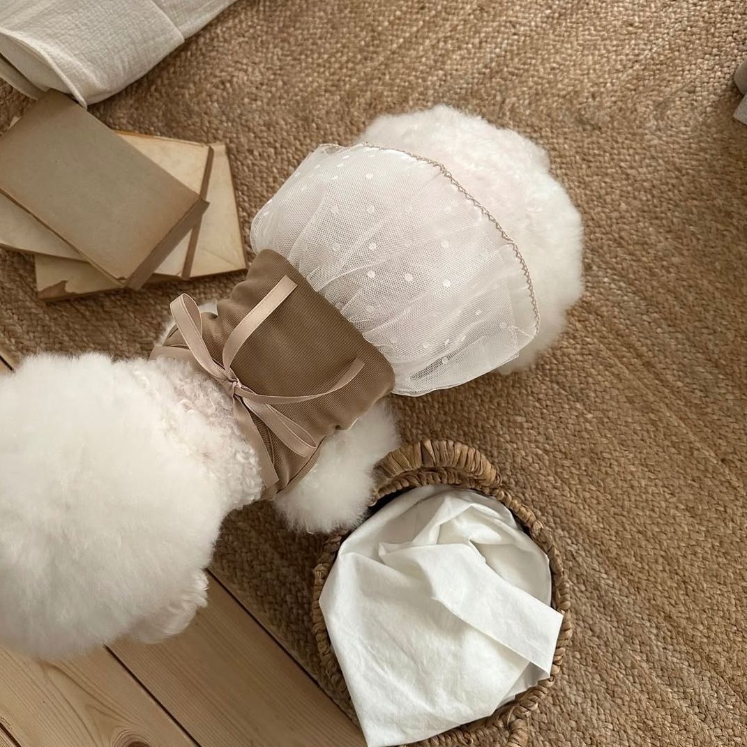Spring and Summer Pet Lace Cam - Lace Teddy Lingerie reseña y precio